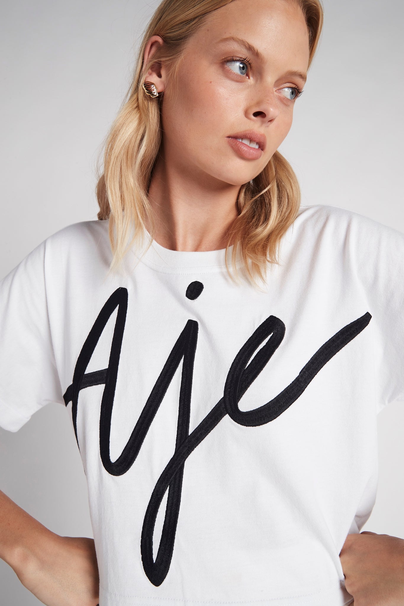 aje cropped tee